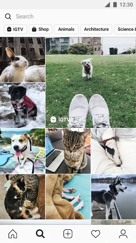 Instagram (Unlocked) screenshot 3